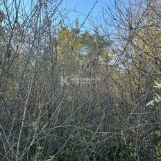 3,9 сотки, участок - изображение 4