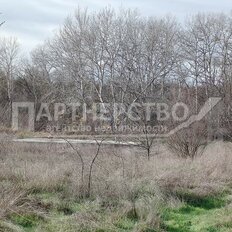 8 соток, участок - изображение 1