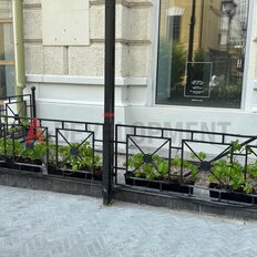 250,5 м², торговое помещение - изображение 4