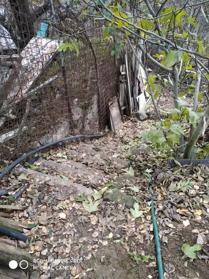 12 соток, участок 2 600 000 ₽ - изображение 41