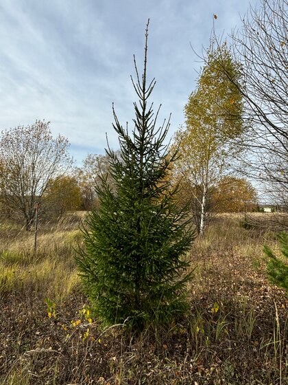 12 соток, участок 357 000 ₽ - изображение 19