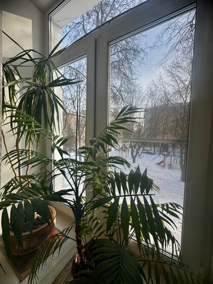 40 м², 1-комнатная квартира 4 600 000 ₽ - изображение 27