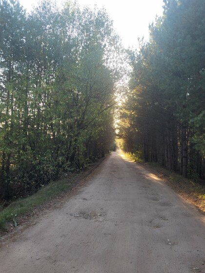 390 соток, участок 1 500 000 ₽ - изображение 37