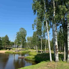 11,5 сотки, участок - изображение 4