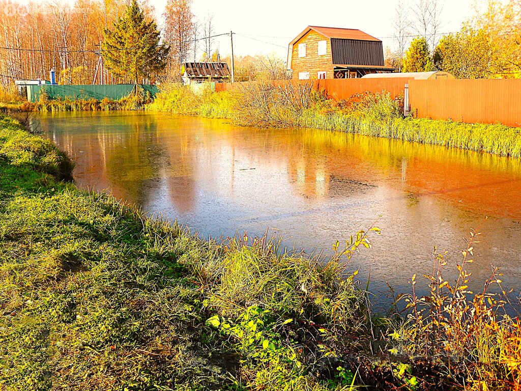 Дом в Рыбинск, проспект Революции, 38 (58 м²)