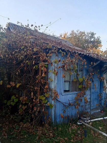 11,7 сотки, участок 970 000 ₽ - изображение 26