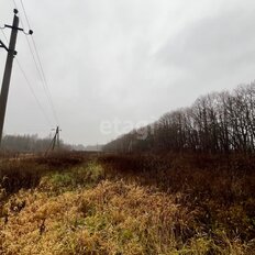 10 соток, участок - изображение 4