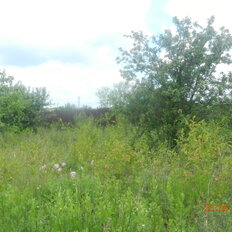 8 соток, участок - изображение 2