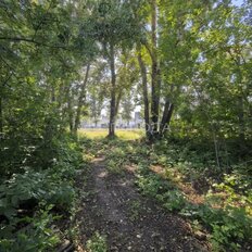 7,8 сотки, участок - изображение 2