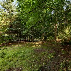 14,8 сотки, участок - изображение 3