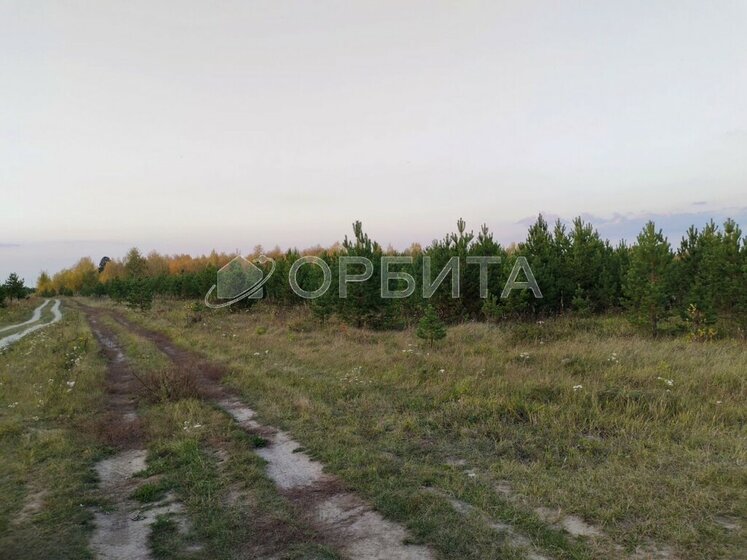 860,8 сотки, участок 3 350 000 ₽ - изображение 27