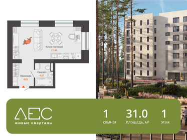 Квартира 31 м², студия - изображение 1