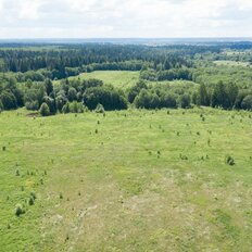 6,9 га, участок - изображение 3