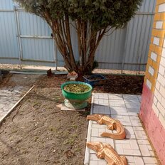 дом + 5,1 сотки, участок - изображение 3