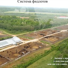 24733 га, участок коммерческого назначения - изображение 5