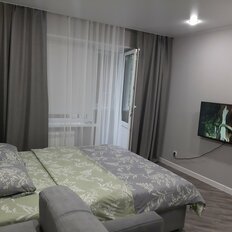 Квартира 29,6 м², 1-комнатная - изображение 2