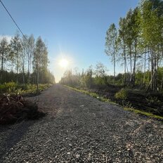 8 соток, участок - изображение 3