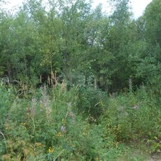 4,3 сотки, участок - изображение 1