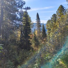 1,9 га, участок - изображение 5