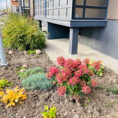 Квартира 36,8 м², 1-комнатная - изображение 4