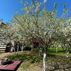 Квартира 40 м², 2-комнатная - изображение 4