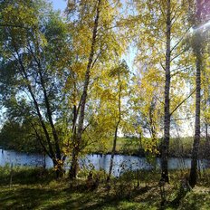 15 соток, участок - изображение 4
