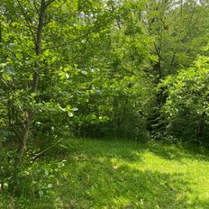 95,6 сотки, участок - изображение 4