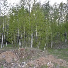 9,4 сотки, участок - изображение 3
