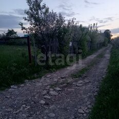 5 соток, участок - изображение 5