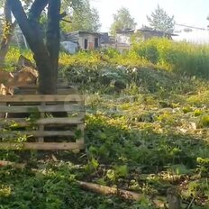 90 соток, участок - изображение 1