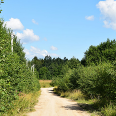 11 соток, участок - изображение 2