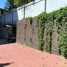 Квартира 245 м², 4-комнатная - изображение 4