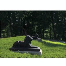 Квартира 85 м², 3-комнатная - изображение 5