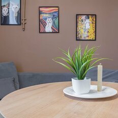 Квартира 20 м², 1-комнатная - изображение 1