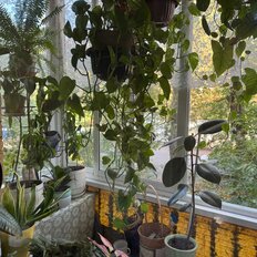 Квартира 43,5 м², 2-комнатная - изображение 1