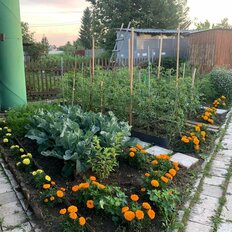 6 соток, участок - изображение 3