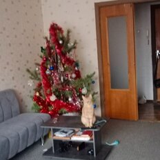 Квартира 54,7 м², 2-комнатная - изображение 4