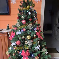 дом + 9 соток, участок - изображение 3