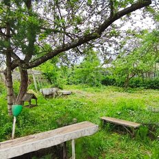 5 соток, участок - изображение 4