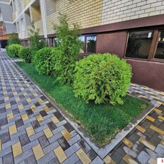 Квартира 37 м², 1-комнатная - изображение 3