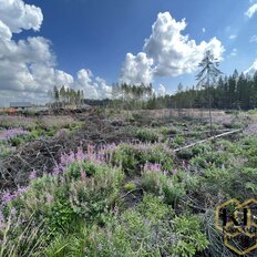 7 соток, участок - изображение 3