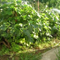 дом + 4 сотки, участок - изображение 1