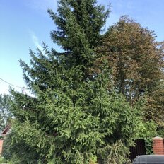 дом + 20 соток, участок - изображение 3