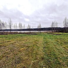 1,2 га, участок - изображение 2