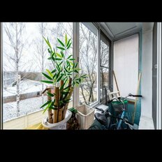Квартира 30,5 м², 1-комнатная - изображение 1