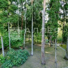 62 сотки, участок - изображение 3