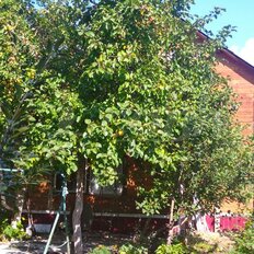 дом + 6,3 сотки, участок - изображение 3