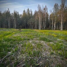 12 соток, участок - изображение 4