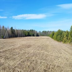 41,8 сотки, участок - изображение 4