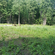 6,1 сотки, участок - изображение 1